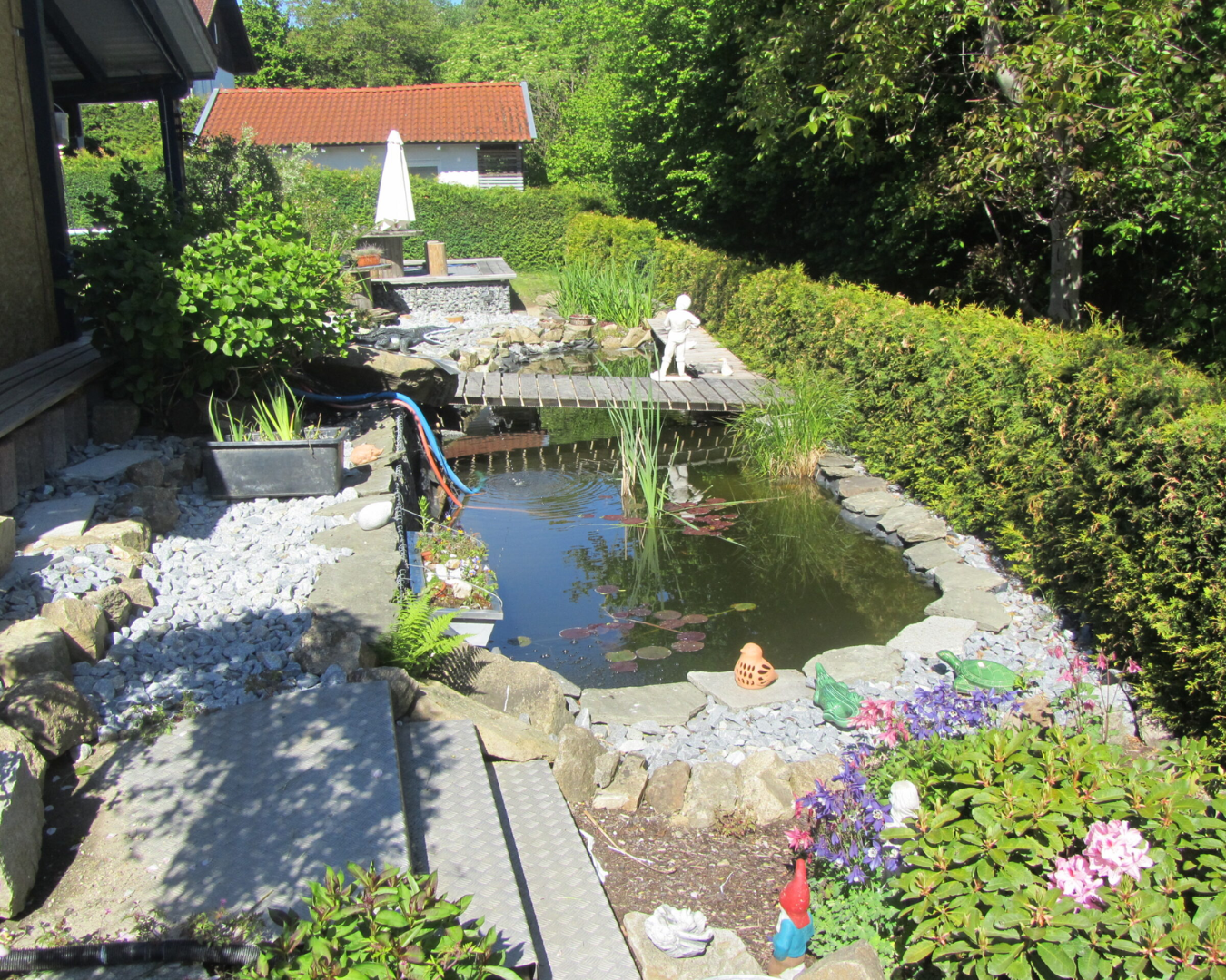 Teich 2